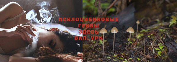 МДПВ Дмитровск