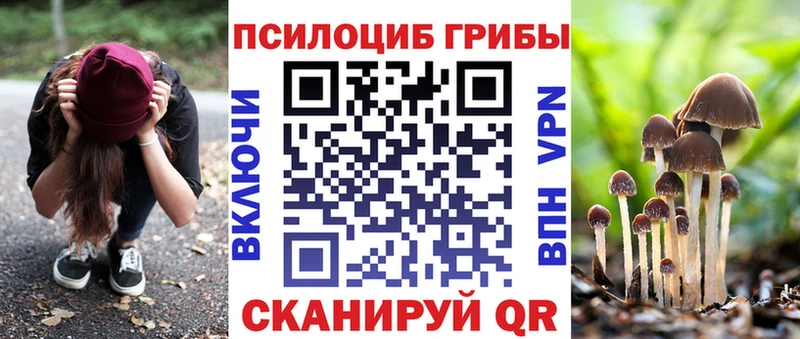 MEGA как зайти  Заволжье  Псилоцибиновые грибы ЛСД 