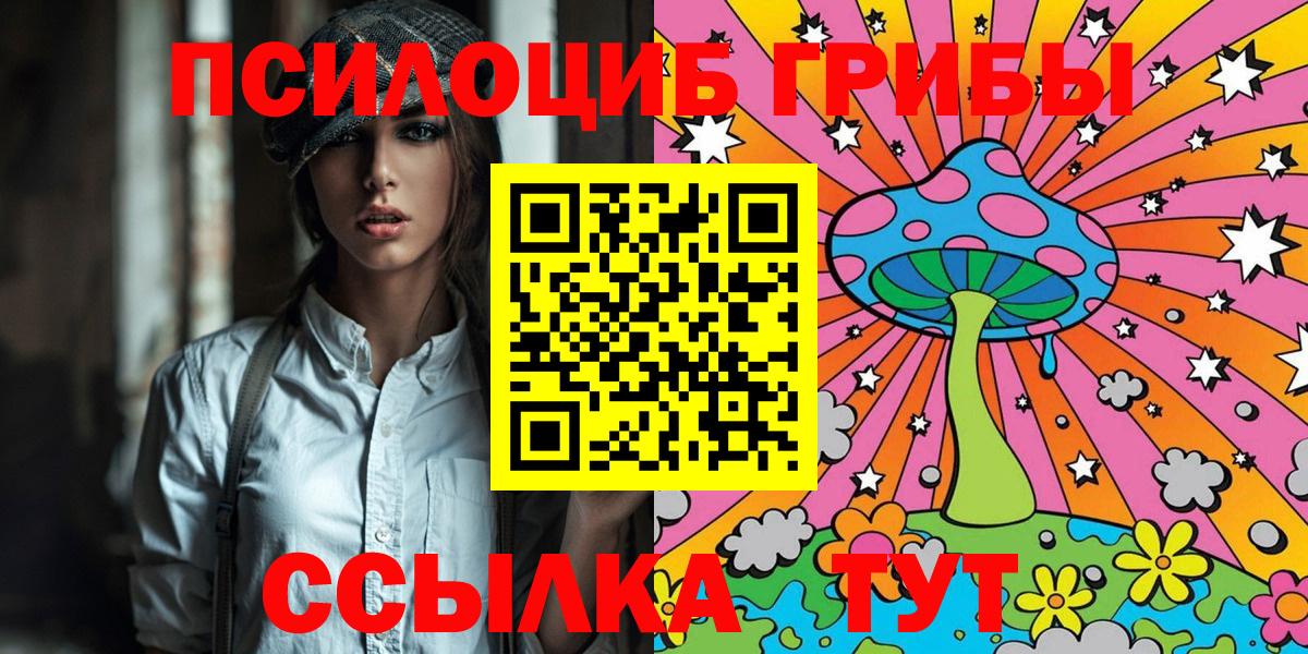 наркотики  Псилоцибиновые грибы Psilocybine cubensis  Вход с VPN  Заволжье 
