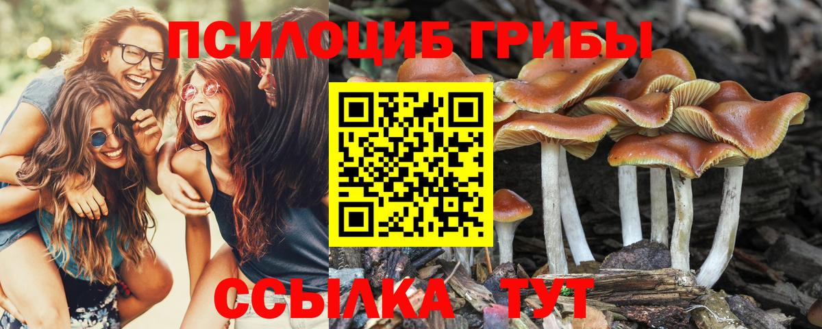 Псилоцибиновые грибы Magic Shrooms Заволжье