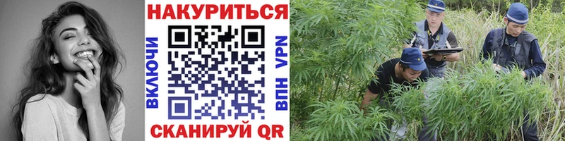 закладки  darknet наркотические препараты  Конопля THC 21%  Заволжье 